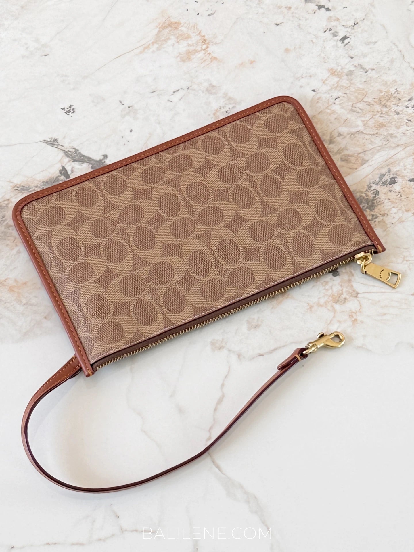 gambar-Coach-Zip-Pouch-In-Signature-Canvas-Tan-Brown-balilene