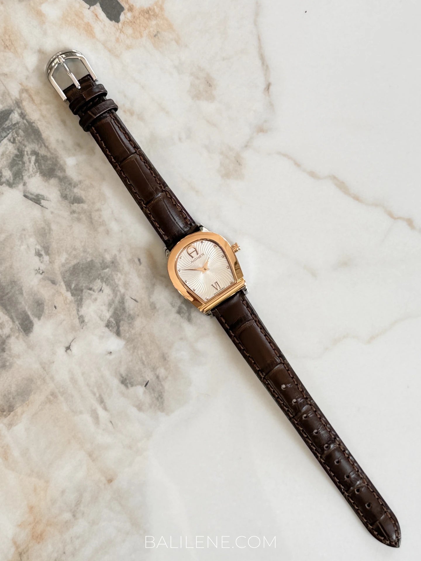 gambar-depan-Aigner-Molise-Lady-Leather-Strap-Dark-Teak-balilene