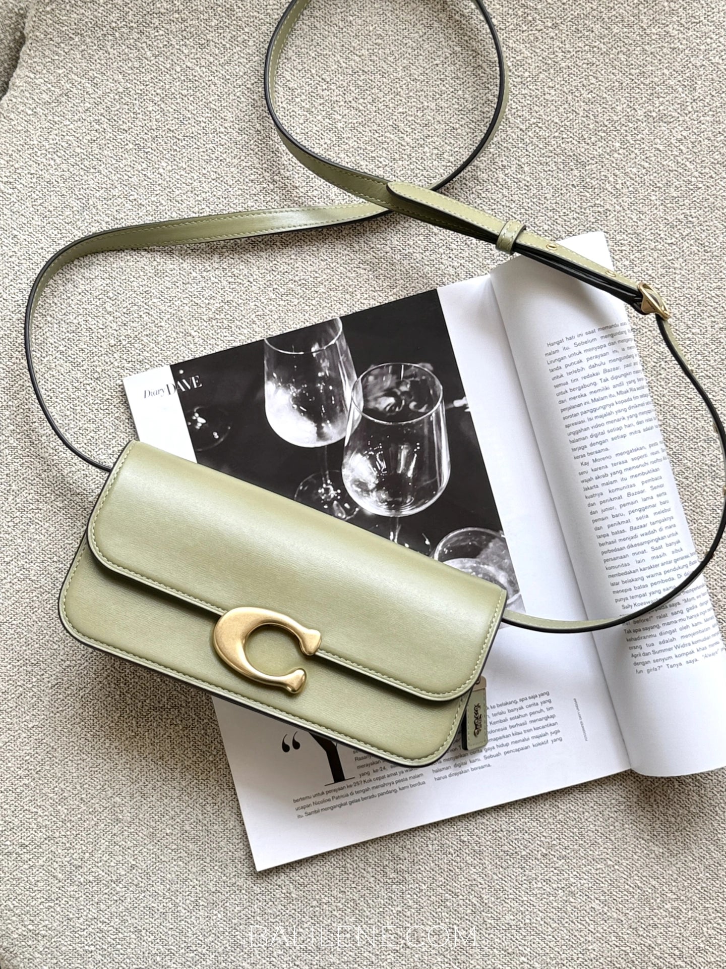 gambar-depan-Coach-Idol-Bag-23-Moss-balilene