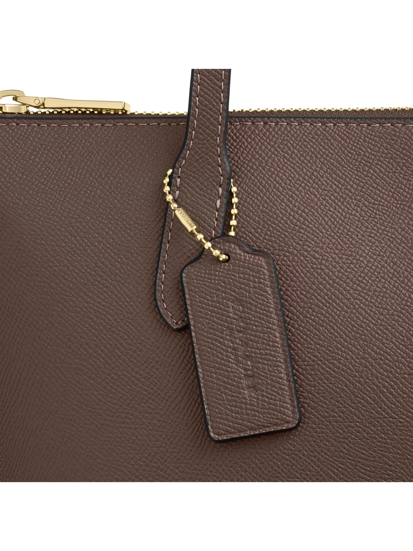 gambar-detail-Coach-Fiona-Zip-Tote-Bag-Dark-Stone