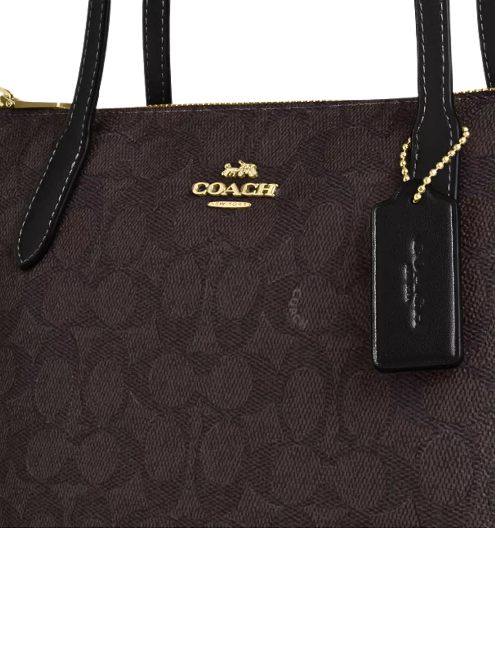 gambar-detail-Coach-Fiona-Zip-Tote-Bag-In-Signature-Canvas-Walnut-Black