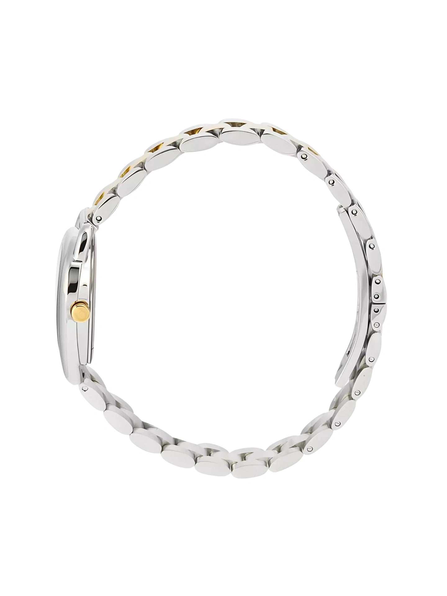 gambar-samping-Aigner-Hermada-III-Two-Tone-Stainless-Steel-Watch-Gold-Silver