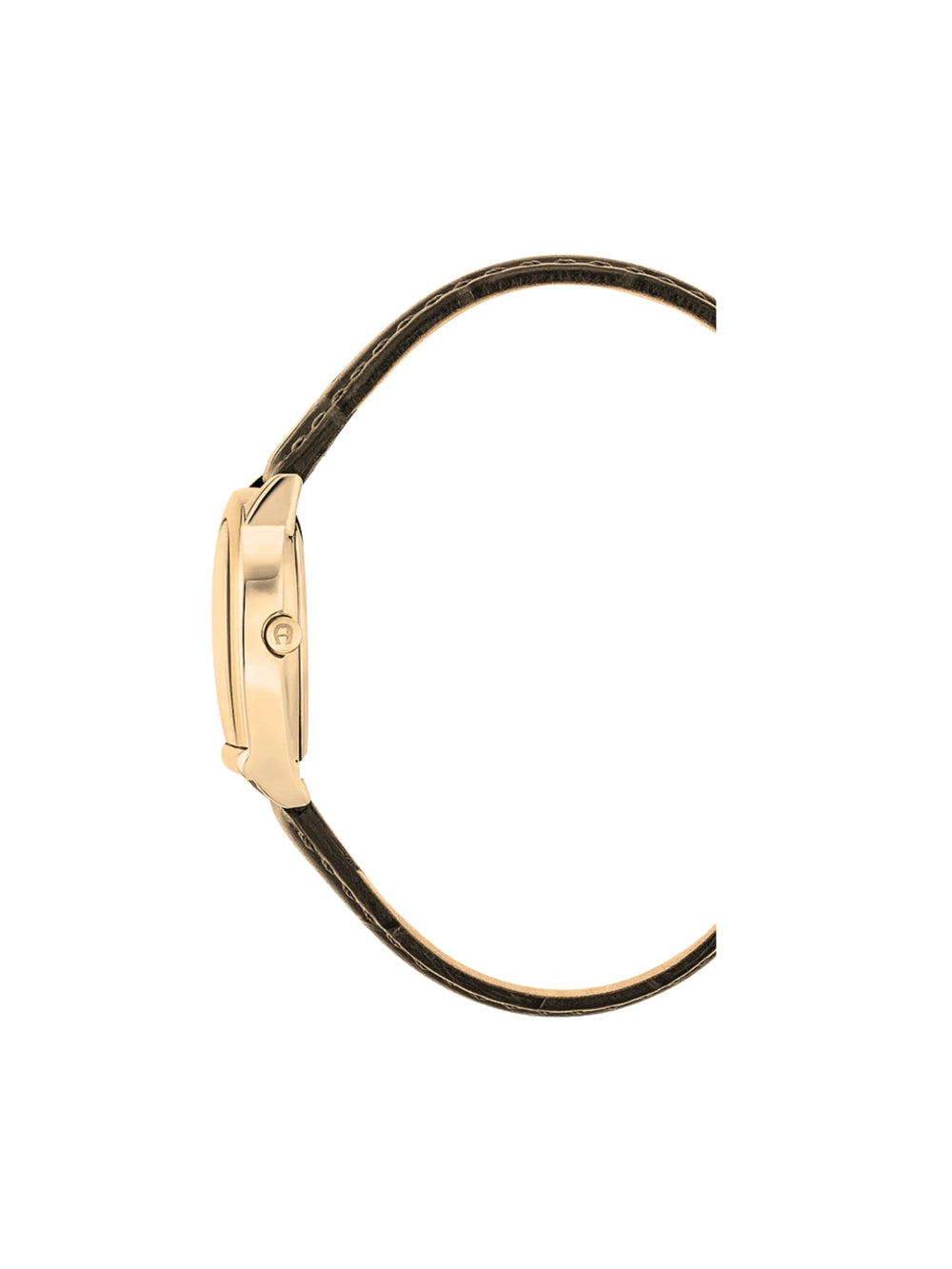 gambar-samping-Aigner-Molise-Lady-Leather-Strap-Dark-Brown-Dial-Green