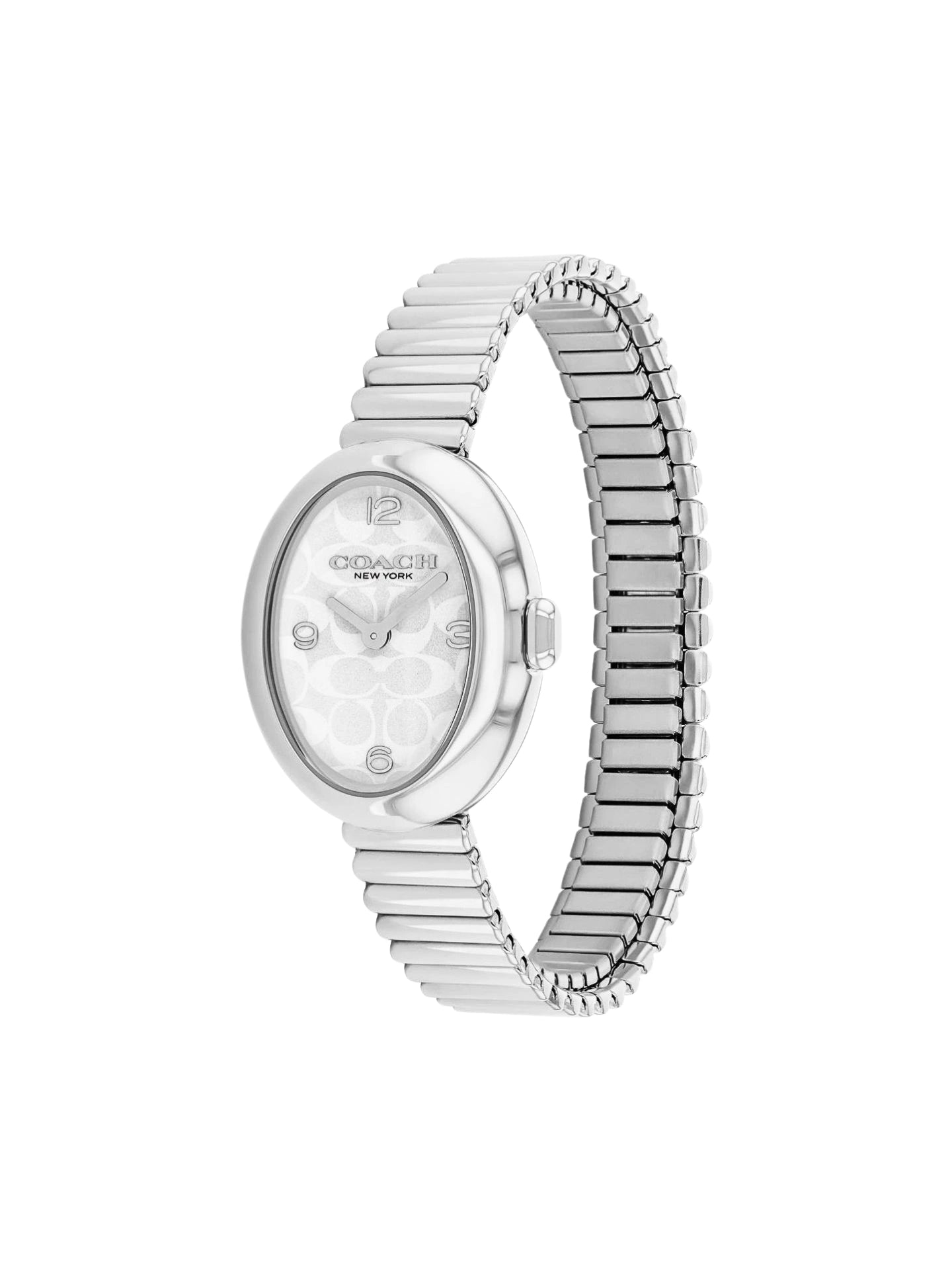 gambar-samping-Coach-Sammy-Silver-White-Dial-Stainless-Steel-Watch