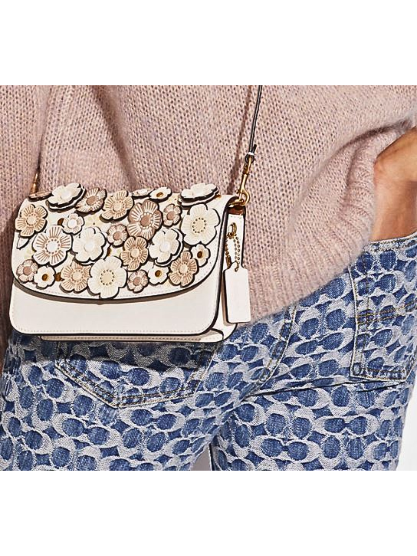 on-model-Coach-Hayden-Crossbody-Bag-With-Tea-Rose-Chalk-Multi