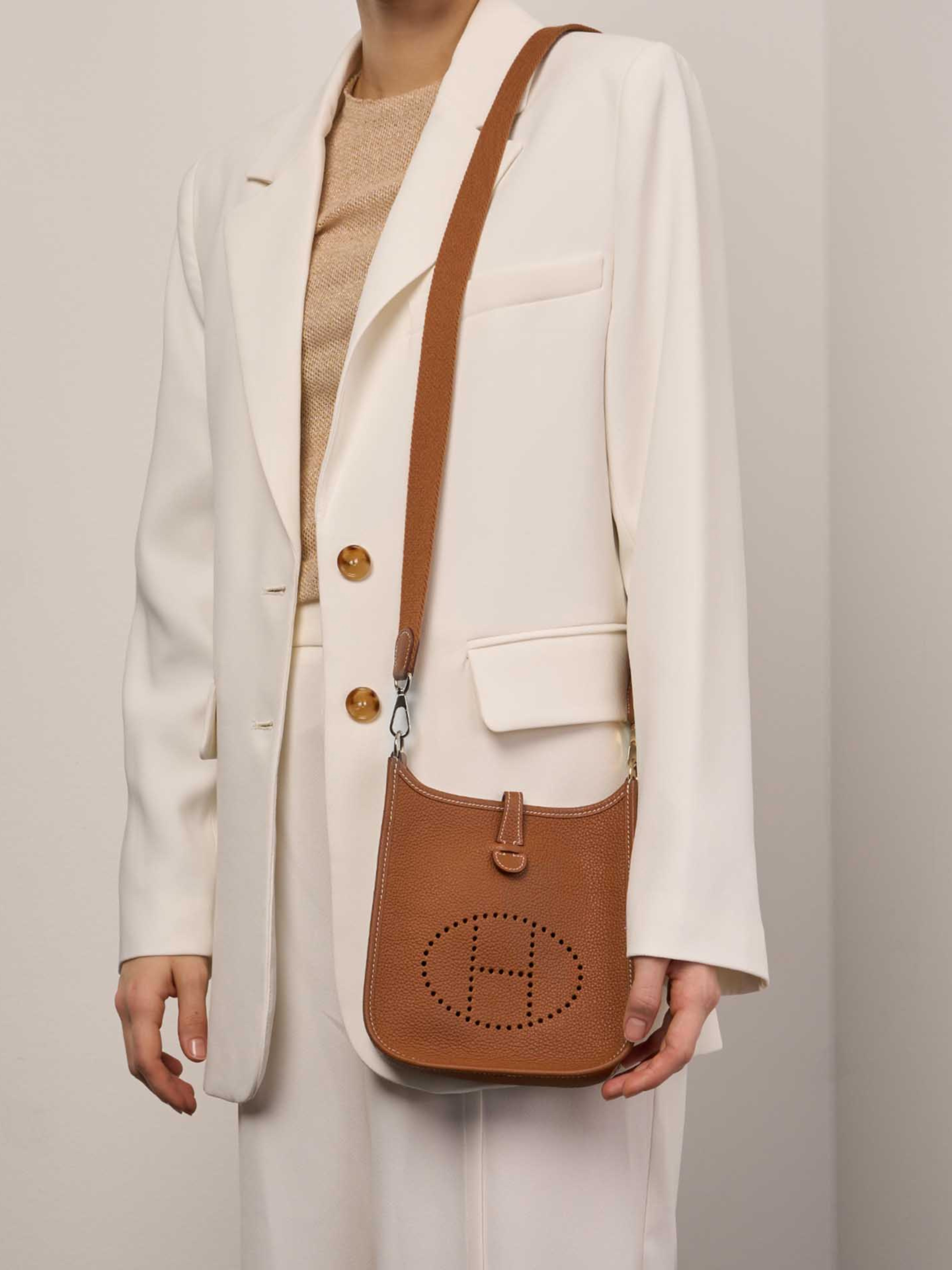 Hermes Mini Evelyne Taurillon Clemence Gold Palladium Hardware