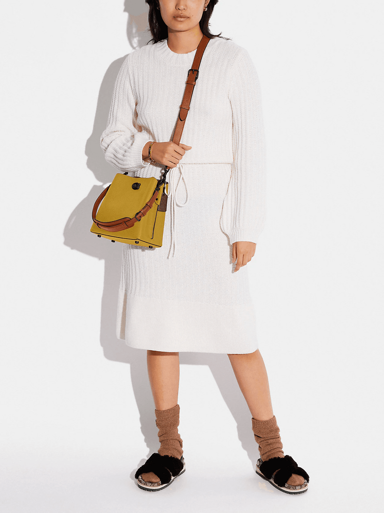 on-model1-Coach-Willow-Bucket-Bag-In-Colorblock-Flax-Multi