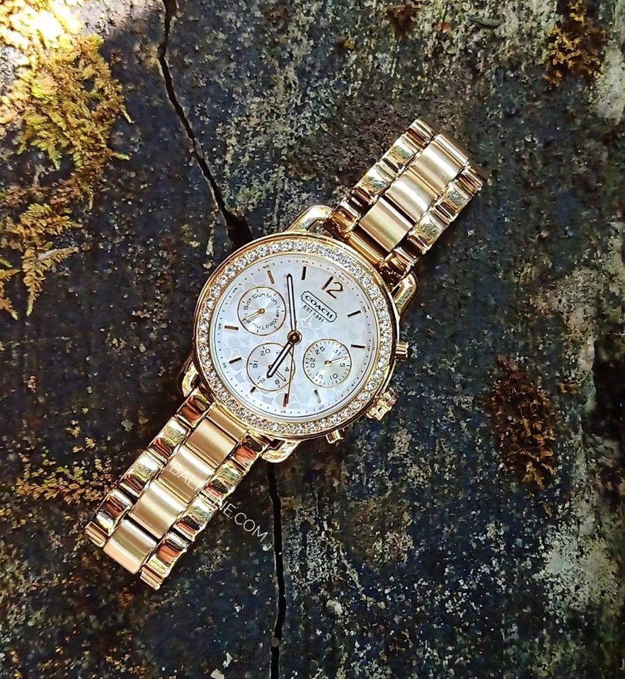 Coach 14501883 Gold Legacy Signature Stainless Chronograph Watch