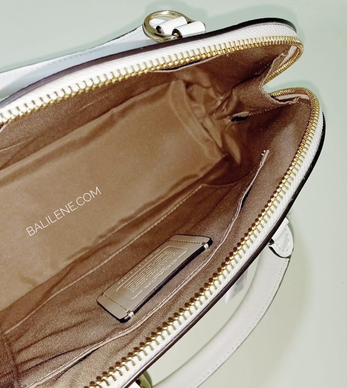 Coach 91430  Mini Sierra Bouqt Chalk Multi