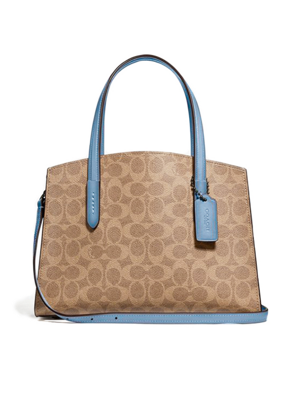 Charlie carryall with discount colorblock snakeskin handles