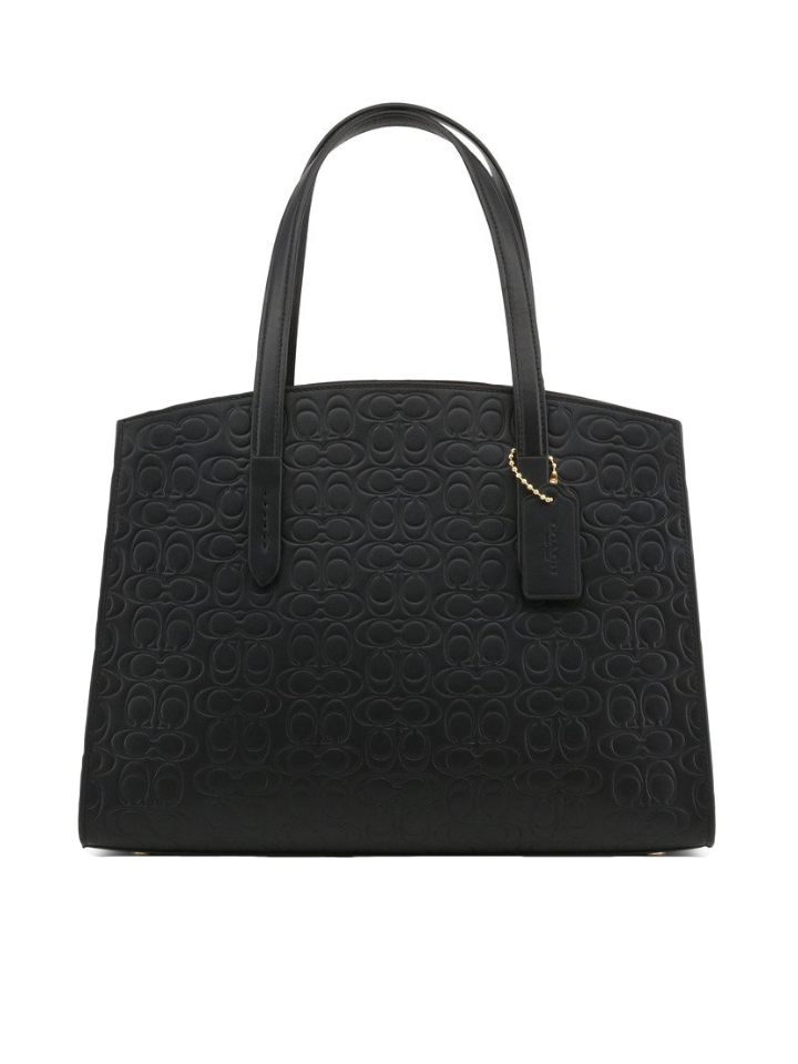 Coach signature sale charlie carryall