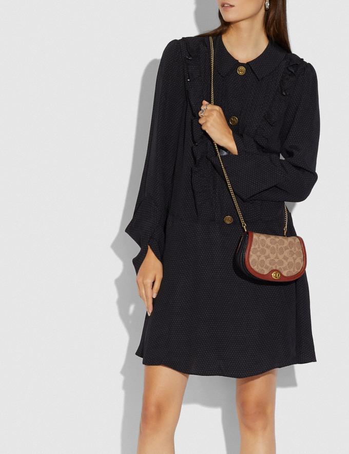 Saddle belt bag in colorblock signature canvas 2025