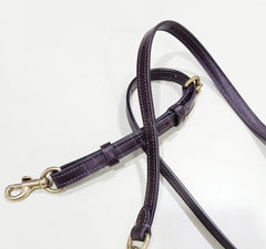 Coach 93810 Dreamer 27 Signature Blocked Snake Tan Sand