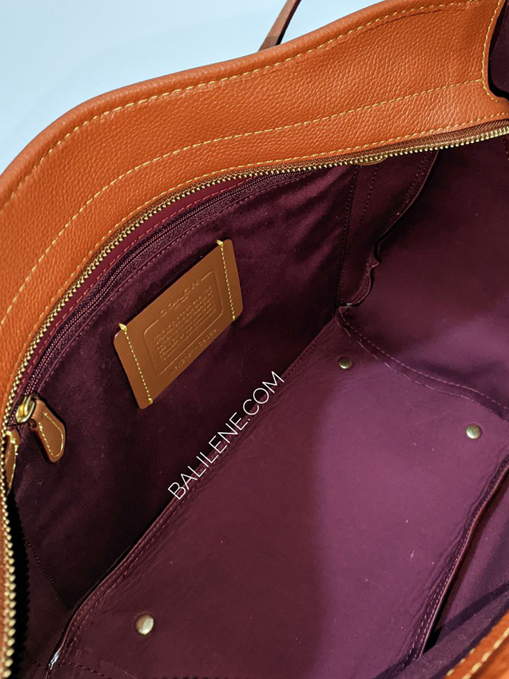 Coach Alana Tote In Signature Canvas Bag Tan Rust