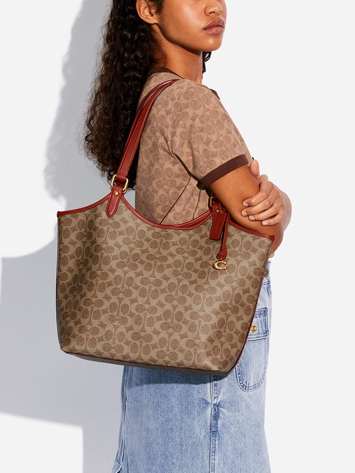 Coach Day Tote In Signature Canvas Tan Rust