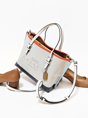 Coach-CB651-Mollie-Tote-25-In-Colorblock-Natural-Multi-Balilene-detail-depan1