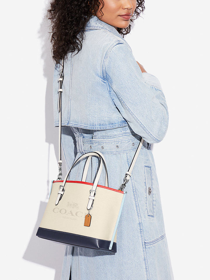 Mollie tote 25 in colorblock Clearance