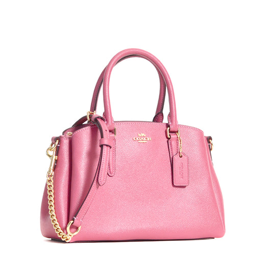    Coach-Mini-Sage-Carryall-Rouge