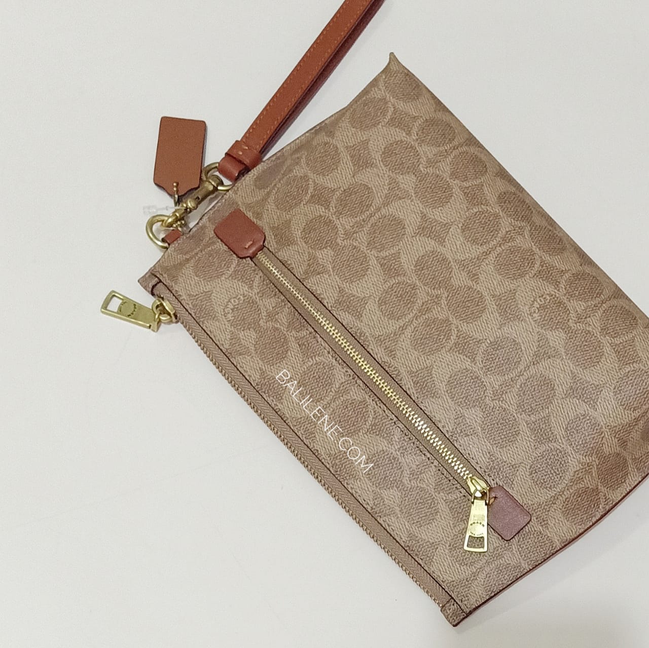 Coach 68332 Charlie Pouch In Signature Colorblok Tan Rust