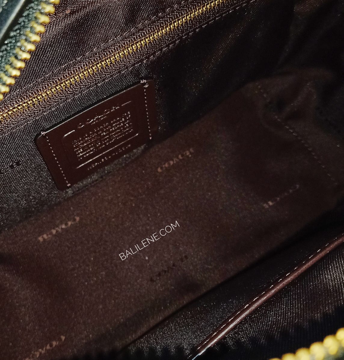Coach 72614 Dreamer With Butterfly Applique And Snakeskin Black Multi
