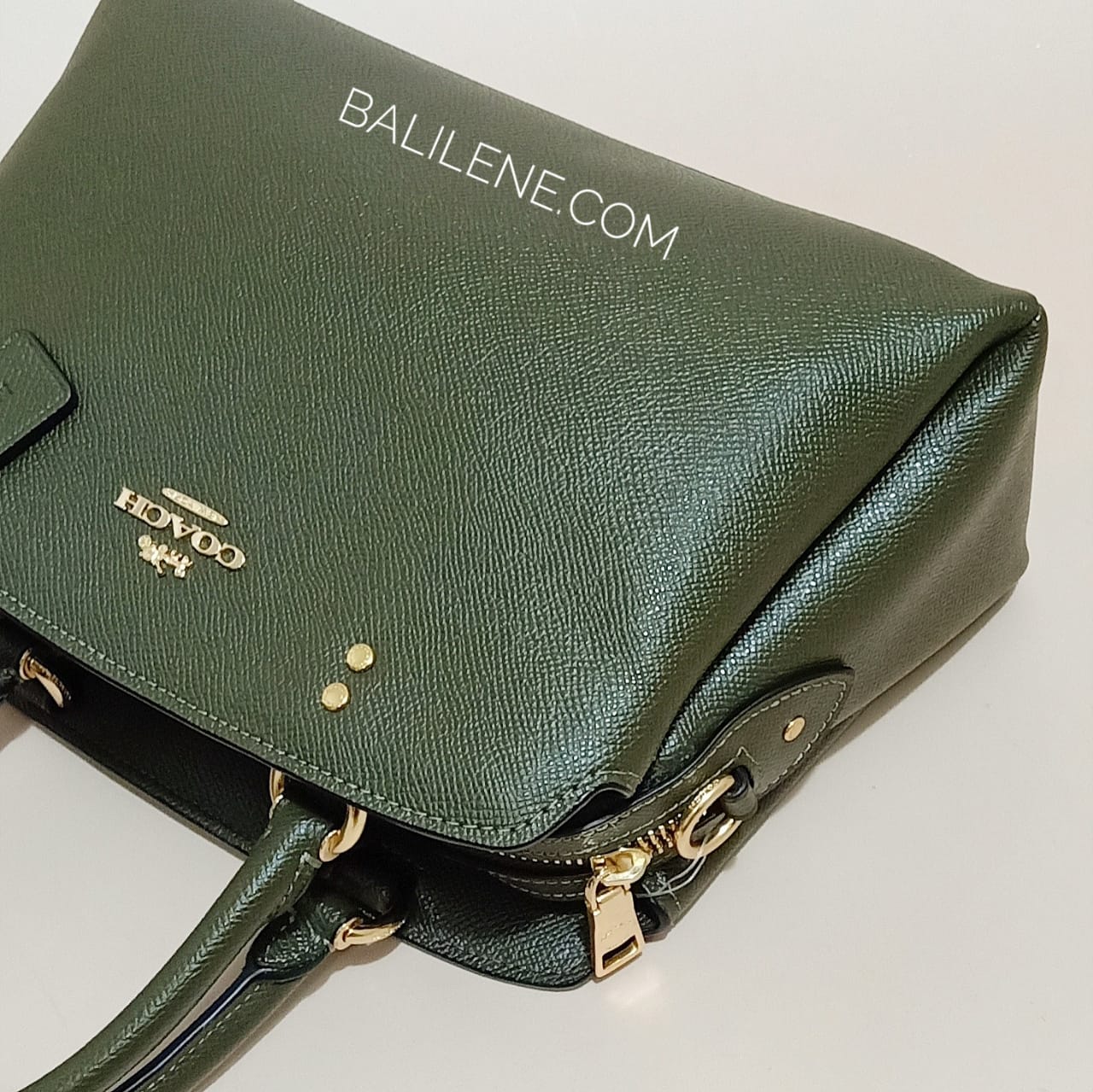 Coach Mini Lillie Crossgrain Carryal Canteen
