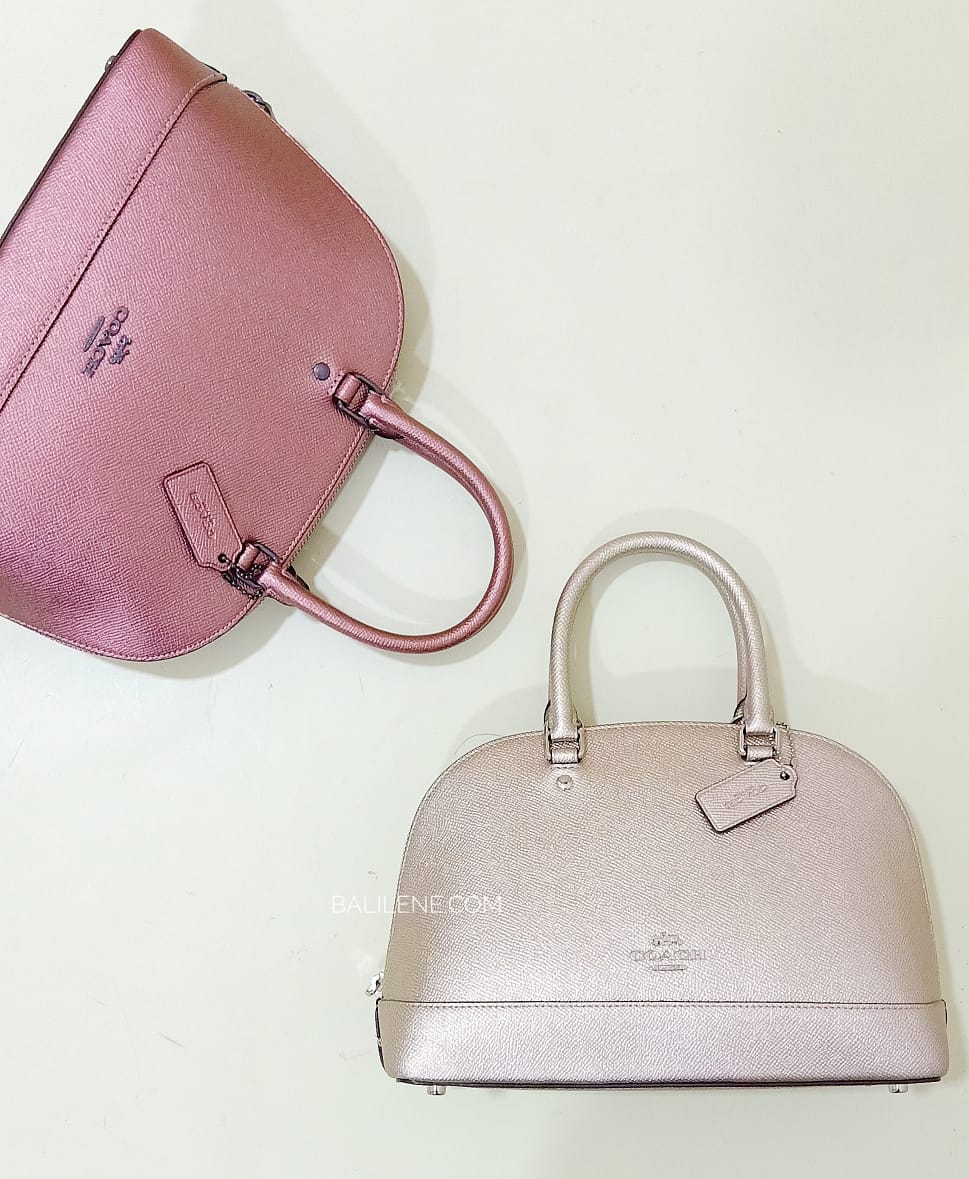 Coach F29170  Mini Sierra Platinum