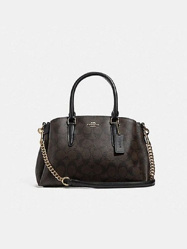 Coach F29434 Mini Sage Carryall In Signature Canvas Brown Black