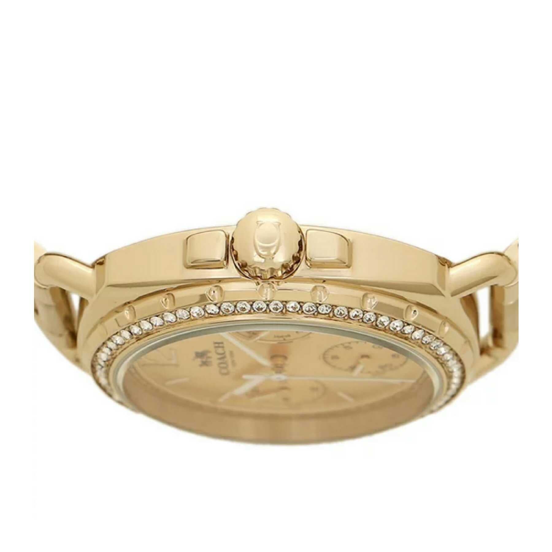 Coach 14502570 Tatum Gold Stainless Steel Watch