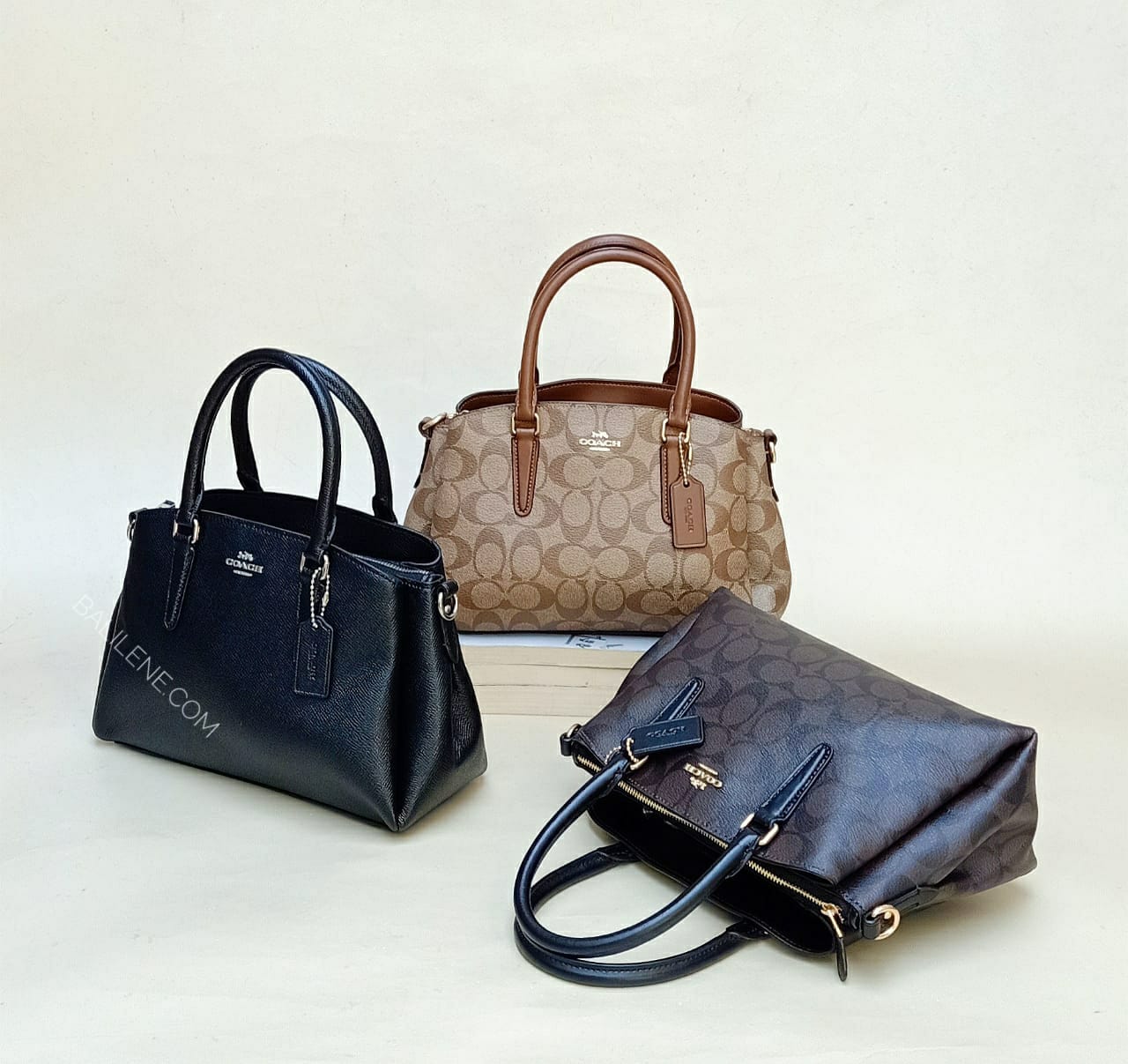 Coach 32018 Mini Sage Carryal Black