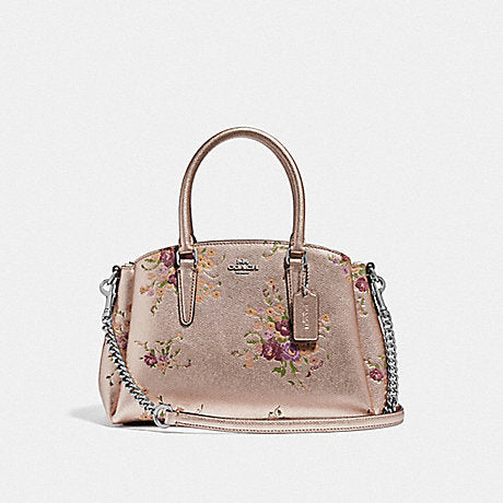 Coach mini sage carryall hotsell size