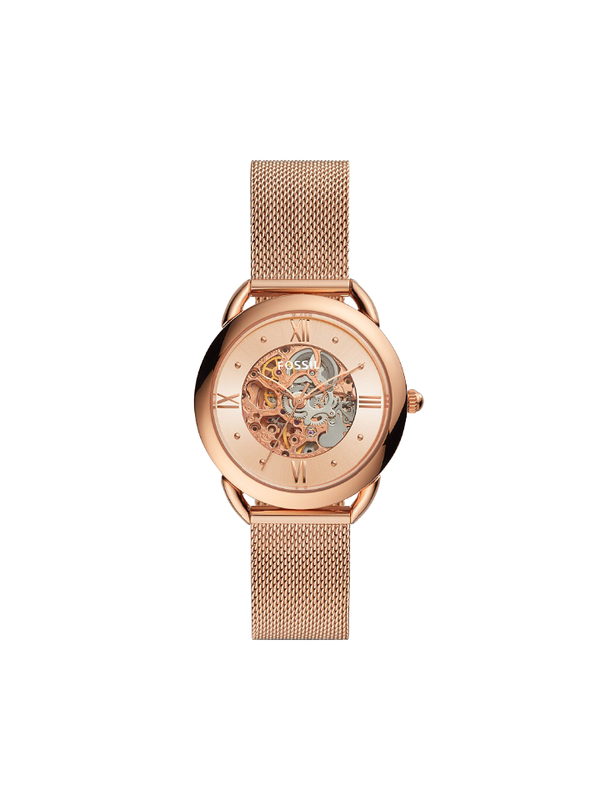 Me3145 fossil online