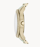 Fossil Es4757 Stella Multifunction Two Tone Stainless Steel And Acetate Watch
