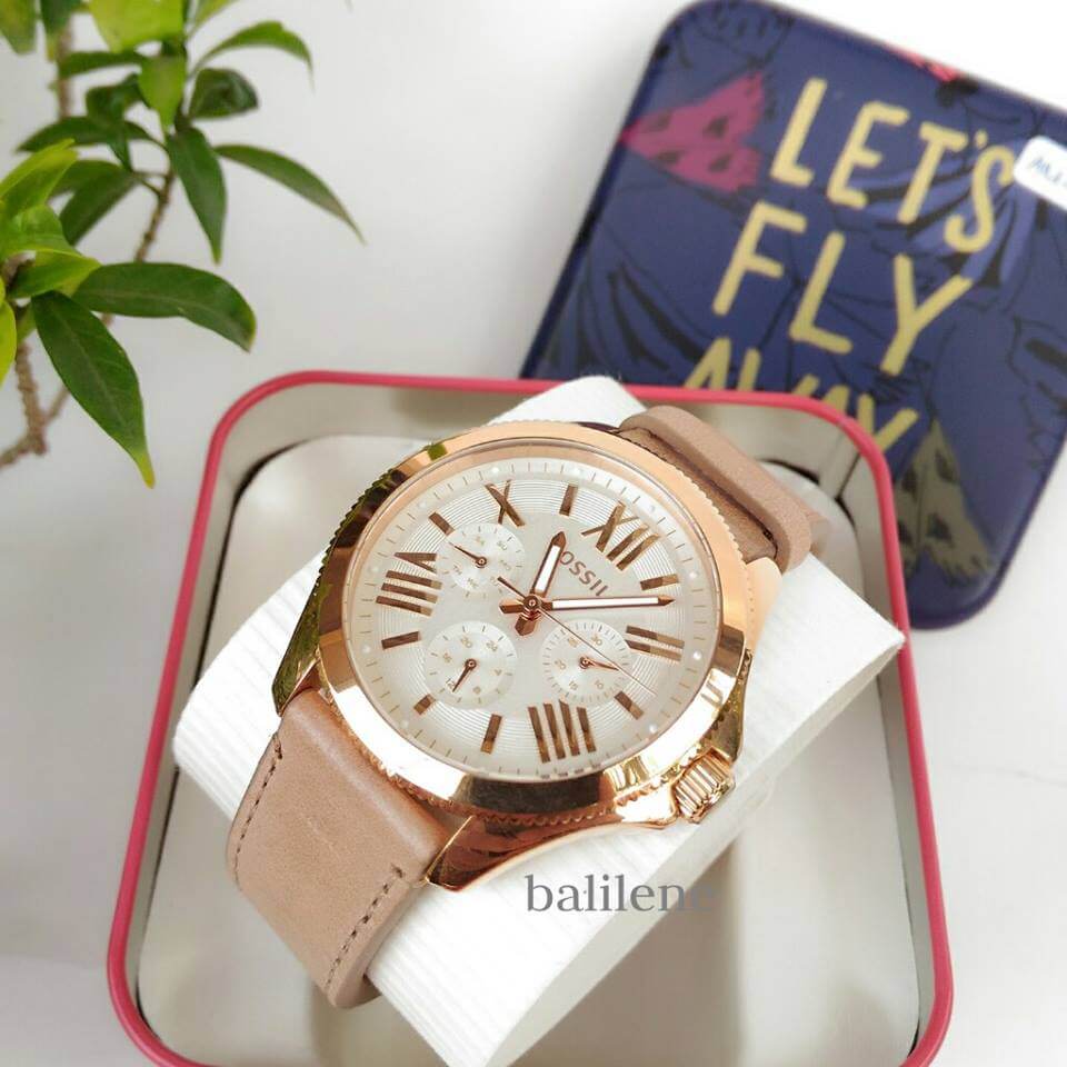 Fossil Am4532 Cecile Multifunction White Dial Beige Watch