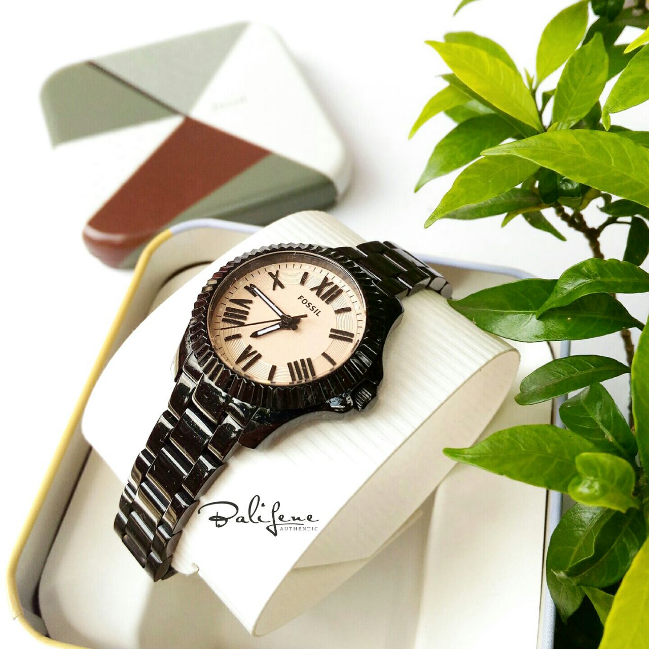 Fossil AM4614 Cecile Rose Dial Black Ion-plated Ladies Watch