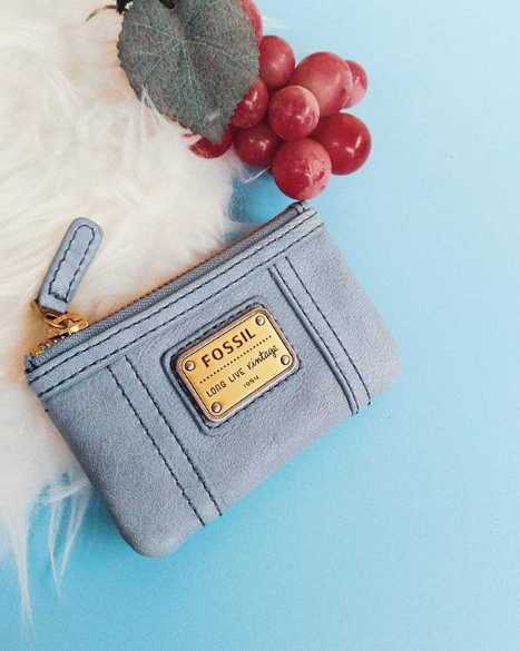 Fossil SL2933180 Emory Zip Coin In Smokey Blue