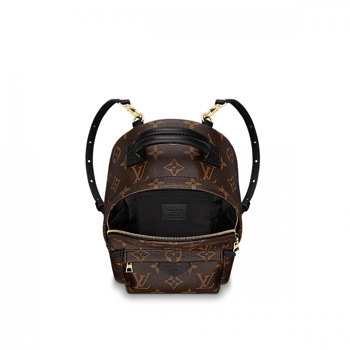Louis Vuitton M41562 Palm Springs Backpack Mini – Balilene