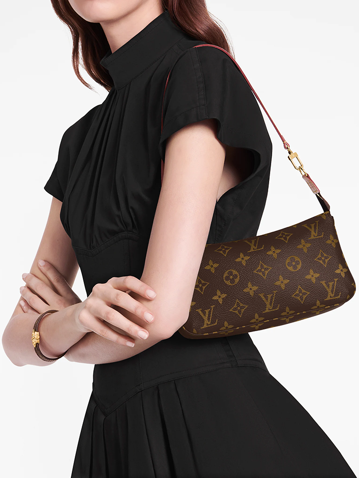 on-model1-Louis-Vuitton-Pochette-Accessoires-Monogram-Leather
